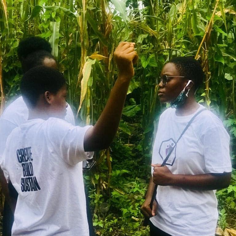 Agricultural livelihood support visit